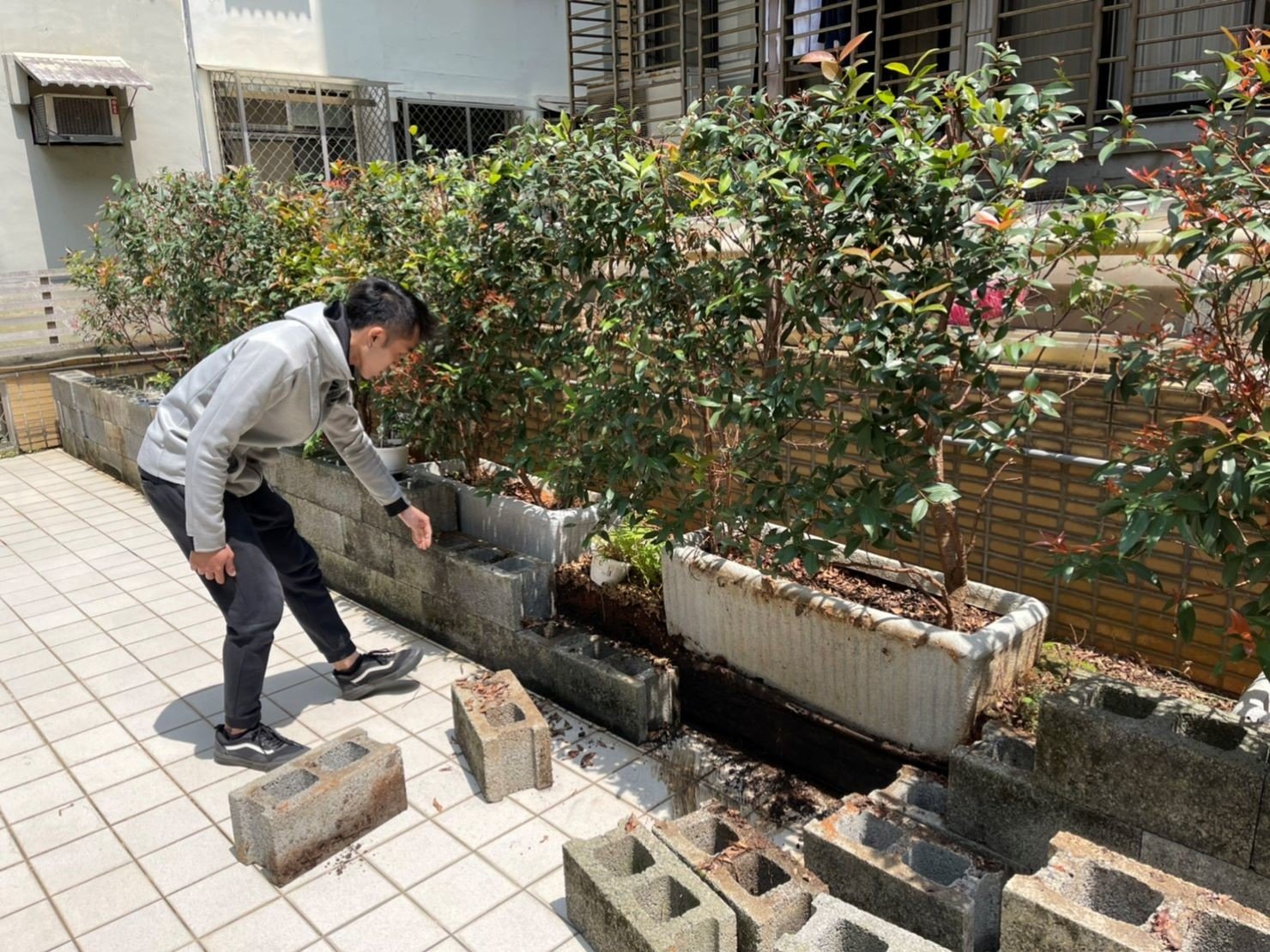 盆栽搬運、搬重物【榮福搬家公司】石墩搬運、搬石頭桌椅、搬洗衣機、搬醫療床、搬神明桌、精搬金庫、搬保險櫃、精搬魚缸、精搬鋼琴、家庭搬家、跨縣市搬家、搬工計時、人力搬運、搬運、搬床墊、冰箱搬運、搬家具、搬家首選、吊掛搬運、吊家具搬運、特殊重物搬運、專搬重物、搬重物技巧、新北搬家公司推薦、搬家車、搬家公司、基隆搬家、南港搬家、桃園搬家公司推薦、台北搬家公司推薦:大台北搬家,精緻包裝搬運「細膩包裝、專業搬運、用心服務、以客為尊」是榮福搬家公司的宗旨與精神。歡迎立即來電02-2651-2727專人服務。 盆栽搬運、搬重物【榮福搬家公司】石墩搬運、搬石頭桌椅、搬洗衣機、搬醫療床、搬神明桌、精搬金庫、搬保險櫃、精搬魚缸、精搬鋼琴、家庭搬家、跨縣市搬家、搬工計時、人力搬運、搬運、搬床墊、冰箱搬運、搬家具、搬家首選、吊掛搬運、吊家具搬運、特殊重物搬運、專搬重物、搬重物技巧、新北搬家公司推薦、搬家車、搬家公司、基隆搬家、南港搬家、桃園搬家公司推薦、台北搬家公司推薦:大台北搬家,精緻包裝搬運「細膩包裝、專業搬運、用心服務、以客為尊」是榮福搬家公司的宗旨與精神。歡迎立即來電02-2651-2727專人服務。