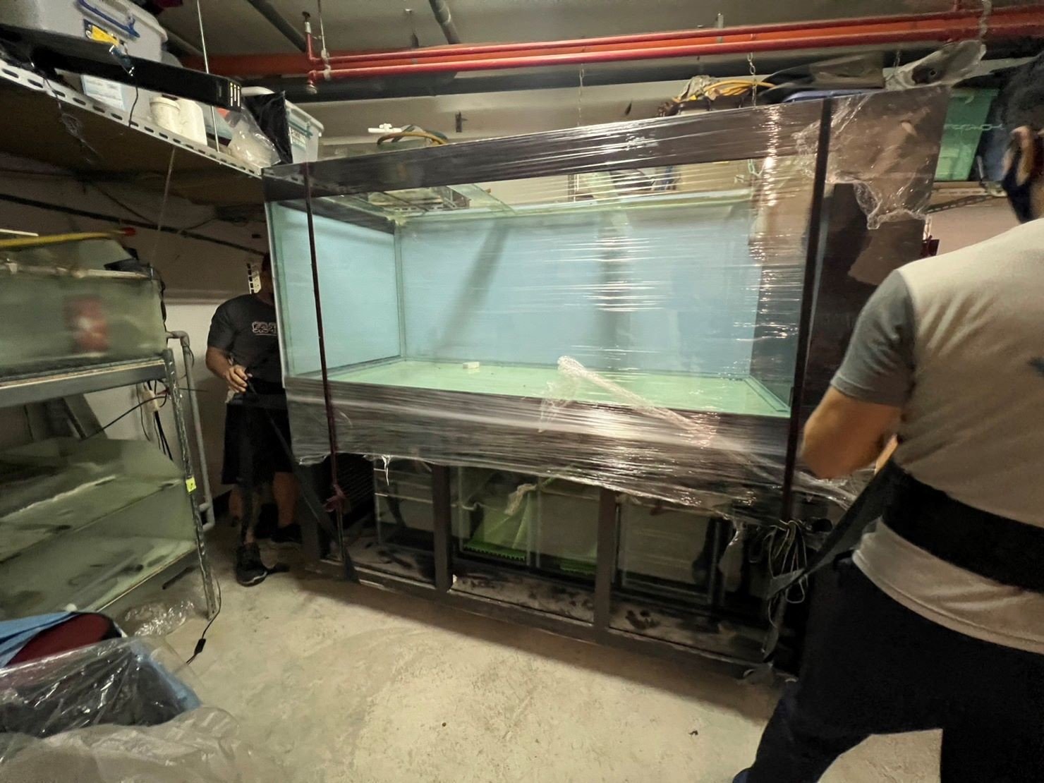 台北搬運7尺魚缸∣南港搬運7尺魚缸∣新北搬運7尺魚缸∣雙北搬運7尺魚缸∣汐止搬運7尺魚缸∣中永和搬運7尺魚缸∣板橋搬運7尺魚缸∣五股搬運7尺魚缸∣基隆搬運7尺魚缸∣桃園搬運7尺魚缸∣專業搬7尺魚缸【榮福搬家公司】具專業團隊擁有精緻包裝組及重物搬運組,能依據業主、顧客需求分派其專業團隊組,進行各尺魚缸專業安全搬運服務;給予最優質、放心各項搬家、搬運需求。 台北搬運7尺魚缸∣南港搬運7尺魚缸∣新北搬運7尺魚缸∣雙北搬運7尺魚缸∣汐止搬運7尺魚缸∣中永和搬運7尺魚缸∣板橋搬運7尺魚缸∣五股搬運7尺魚缸∣基隆搬運7尺魚缸∣桃園搬運7尺魚缸∣專業搬7尺魚缸【榮福搬家公司】具專業團隊擁有精緻包裝組及重物搬運組,能依據業主、顧客需求分派其專業團隊組,進行各尺魚缸專業安全搬運服務;給予最優質、放心各項搬家、搬運需求。