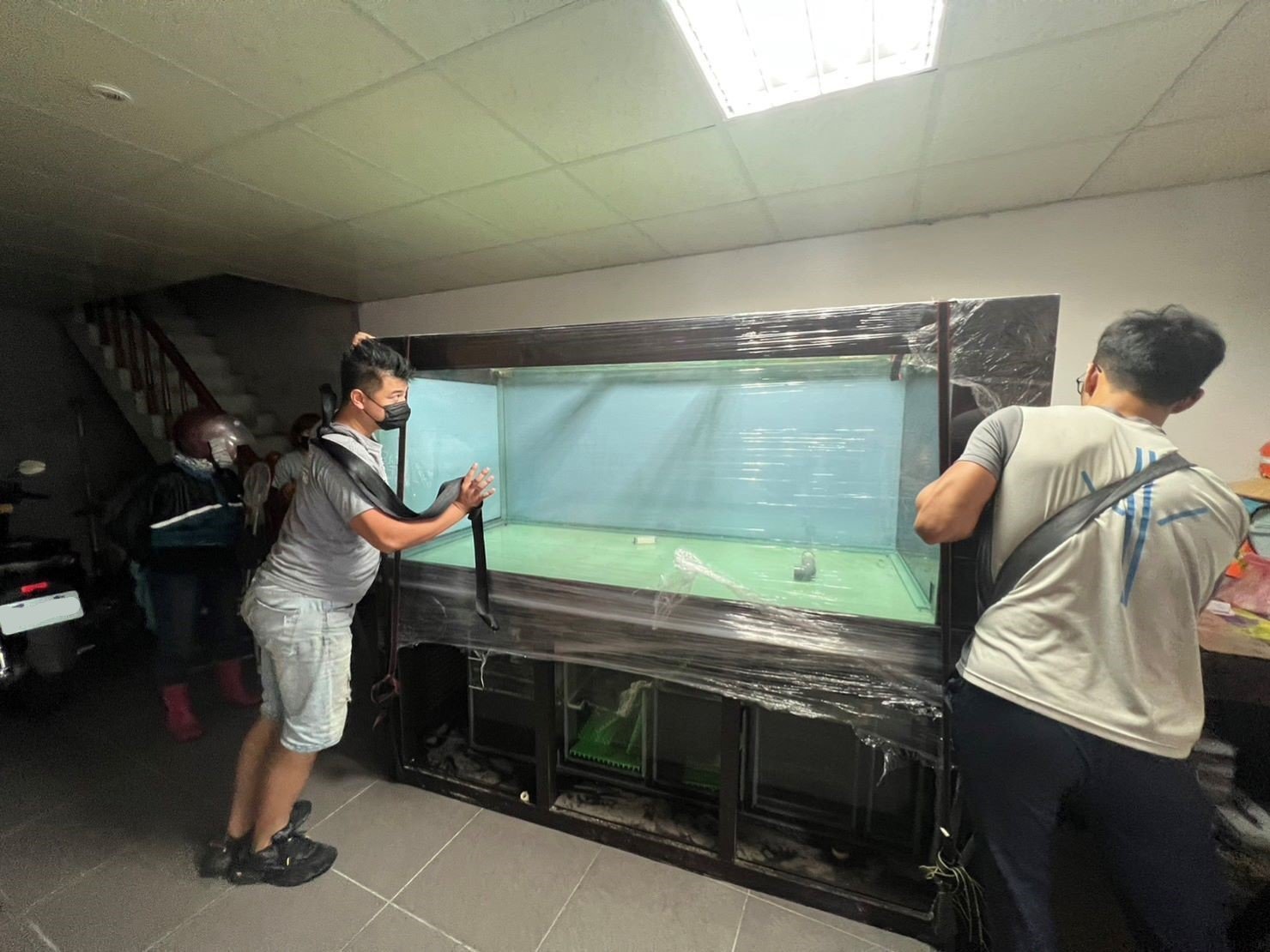 台北搬運7尺魚缸∣南港搬運7尺魚缸∣新北搬運7尺魚缸∣雙北搬運7尺魚缸∣汐止搬運7尺魚缸∣中永和搬運7尺魚缸∣板橋搬運7尺魚缸∣五股搬運7尺魚缸∣基隆搬運7尺魚缸∣桃園搬運7尺魚缸∣專業搬7尺魚缸【榮福搬家公司】具專業團隊擁有精緻包裝組及重物搬運組,能依據業主、顧客需求分派其專業團隊組,進行各尺魚缸專業安全搬運服務;給予最優質、放心各項搬家、搬運需求。 台北搬運7尺魚缸∣南港搬運7尺魚缸∣新北搬運7尺魚缸∣雙北搬運7尺魚缸∣汐止搬運7尺魚缸∣中永和搬運7尺魚缸∣板橋搬運7尺魚缸∣五股搬運7尺魚缸∣基隆搬運7尺魚缸∣桃園搬運7尺魚缸∣專業搬7尺魚缸【榮福搬家公司】具專業團隊擁有精緻包裝組及重物搬運組,能依據業主、顧客需求分派其專業團隊組,進行各尺魚缸專業安全搬運服務;給予最優質、放心各項搬家、搬運需求。