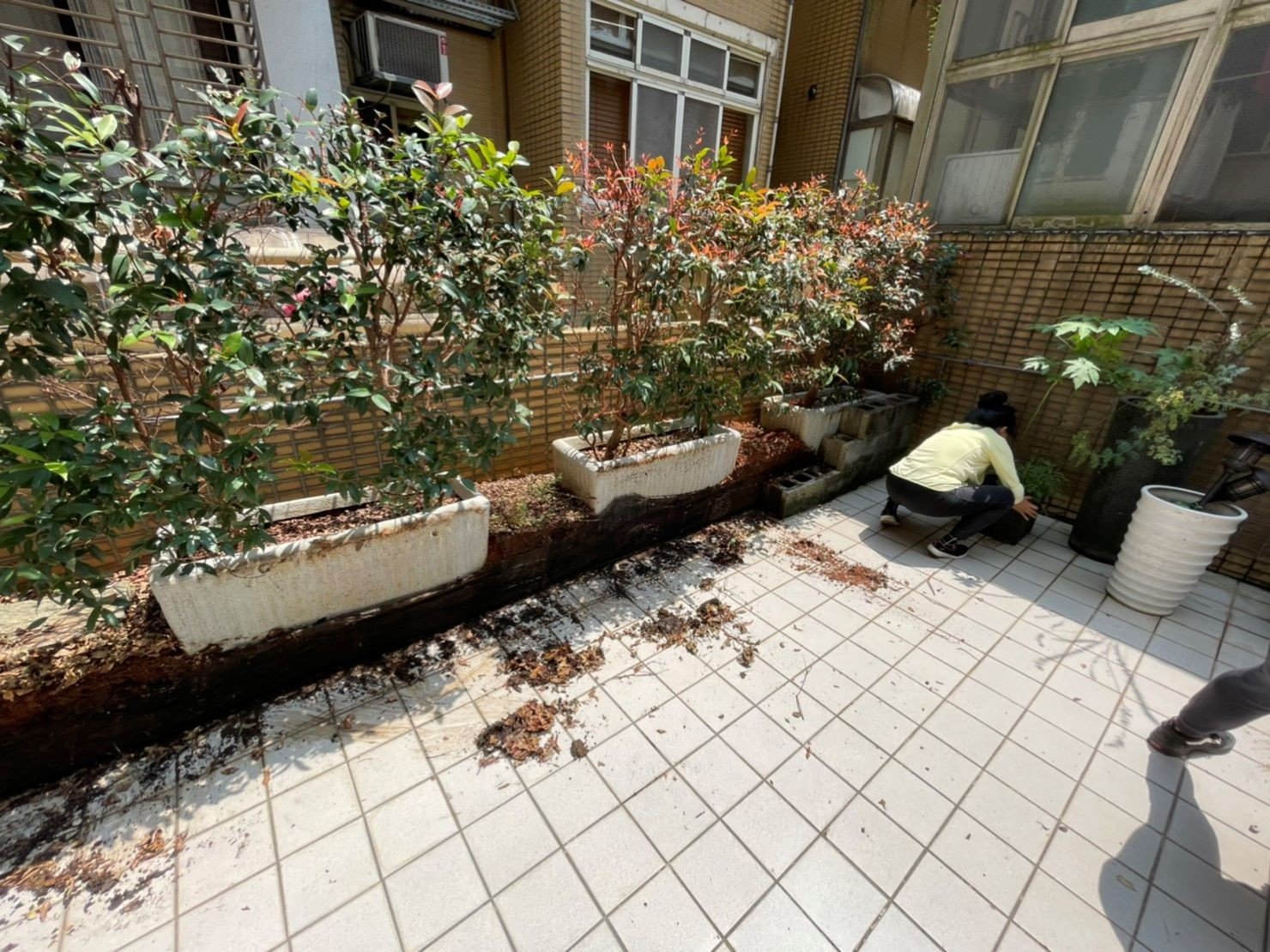盆栽搬運、搬重物【榮福搬家公司】石墩搬運、搬石頭桌椅、搬洗衣機、搬醫療床、搬神明桌、精搬金庫、搬保險櫃、精搬魚缸、精搬鋼琴、家庭搬家、跨縣市搬家、搬工計時、人力搬運、搬運、搬床墊、冰箱搬運、搬家具、搬家首選、吊掛搬運、吊家具搬運、特殊重物搬運、專搬重物、搬重物技巧、新北搬家公司推薦、搬家車、搬家公司、基隆搬家、南港搬家、桃園搬家公司推薦、台北搬家公司推薦:大台北搬家,精緻包裝搬運「細膩包裝、專業搬運、用心服務、以客為尊」是榮福搬家公司的宗旨與精神。歡迎立即來電02-2651-2727專人服務。 盆栽搬運、搬重物【榮福搬家公司】石墩搬運、搬石頭桌椅、搬洗衣機、搬醫療床、搬神明桌、精搬金庫、搬保險櫃、精搬魚缸、精搬鋼琴、家庭搬家、跨縣市搬家、搬工計時、人力搬運、搬運、搬床墊、冰箱搬運、搬家具、搬家首選、吊掛搬運、吊家具搬運、特殊重物搬運、專搬重物、搬重物技巧、新北搬家公司推薦、搬家車、搬家公司、基隆搬家、南港搬家、桃園搬家公司推薦、台北搬家公司推薦:大台北搬家,精緻包裝搬運「細膩包裝、專業搬運、用心服務、以客為尊」是榮福搬家公司的宗旨與精神。歡迎立即來電02-2651-2727專人服務。