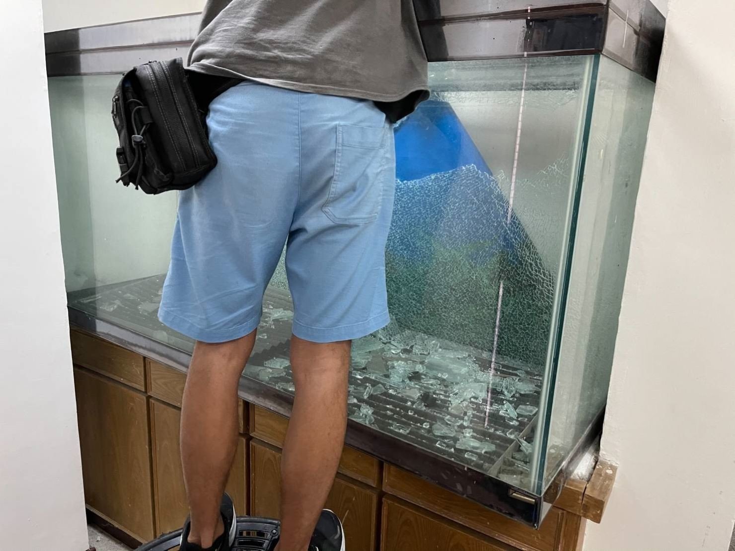 大型魚缸搬運、搬重物【榮福搬家公司】石墩搬運、魚缸廢棄處理、廢棄魚缸清運、搬石頭桌、搬洗衣機、搬披薩窯、精搬金庫、搬保險櫃、精搬魚缸、精搬鋼琴、跨縣市搬家、搬工派遣、搬運、搬床墊、搬冰箱、搬家具、搬家首選、吊掛搬運、吊家具搬運、特殊重物搬運、專搬重物、新北搬家推薦、搬家公司、基隆搬家、南港搬家、桃園搬家公司、台北搬家公司推薦:大台北搬家,精緻包裝搬運「細膩包裝、專業搬運、用心服務、以客為尊」是榮福搬家公司的宗旨與精神。歡迎立即來電02-2651-2727專人服務。 大型魚缸搬運、搬重物【榮福搬家公司】石墩搬運、魚缸廢棄處理、廢棄魚缸清運、搬石頭桌、搬洗衣機、搬披薩窯、精搬金庫、搬保險櫃、精搬魚缸、精搬鋼琴、跨縣市搬家、搬工派遣、搬運、搬床墊、搬冰箱、搬家具、搬家首選、吊掛搬運、吊家具搬運、特殊重物搬運、專搬重物、新北搬家推薦、搬家公司、基隆搬家、南港搬家、桃園搬家公司、台北搬家公司推薦:大台北搬家,精緻包裝搬運「細膩包裝、專業搬運、用心服務、以客為尊」是榮福搬家公司的宗旨與精神。歡迎立即來電02-2651-2727專人服務。