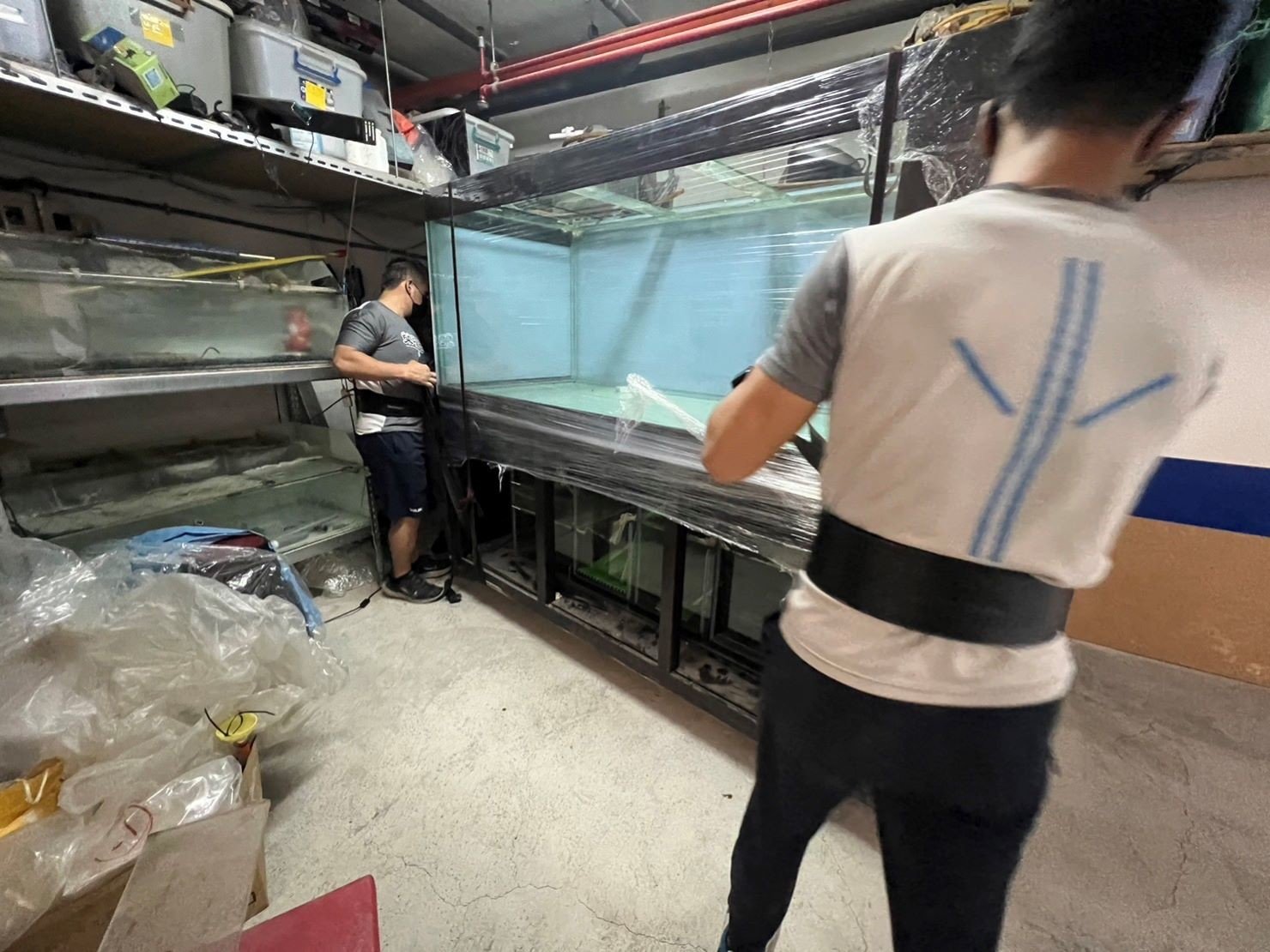 台北搬運7尺魚缸∣南港搬運7尺魚缸∣新北搬運7尺魚缸∣雙北搬運7尺魚缸∣汐止搬運7尺魚缸∣中永和搬運7尺魚缸∣板橋搬運7尺魚缸∣五股搬運7尺魚缸∣基隆搬運7尺魚缸∣桃園搬運7尺魚缸∣專業搬7尺魚缸【榮福搬家公司】具專業團隊擁有精緻包裝組及重物搬運組,能依據業主、顧客需求分派其專業團隊組,進行各尺魚缸專業安全搬運服務;給予最優質、放心各項搬家、搬運需求。 台北搬運7尺魚缸∣南港搬運7尺魚缸∣新北搬運7尺魚缸∣雙北搬運7尺魚缸∣汐止搬運7尺魚缸∣中永和搬運7尺魚缸∣板橋搬運7尺魚缸∣五股搬運7尺魚缸∣基隆搬運7尺魚缸∣桃園搬運7尺魚缸∣專業搬7尺魚缸【榮福搬家公司】具專業團隊擁有精緻包裝組及重物搬運組,能依據業主、顧客需求分派其專業團隊組,進行各尺魚缸專業安全搬運服務;給予最優質、放心各項搬家、搬運需求。